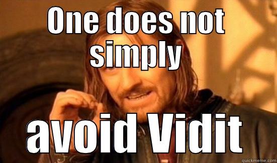 ONE DOES NOT SIMPLY AVOID VIDIT Boromir