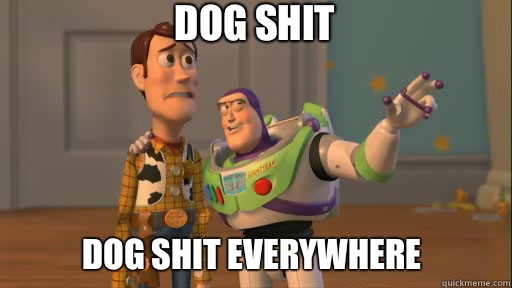 Dog shit Dog shit everywhere  Everywhere