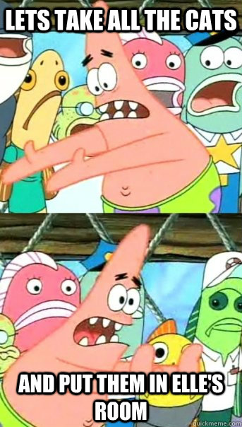 Lets take all the cats and put them in Elle's room  Push it somewhere else Patrick