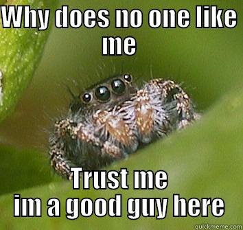 The Sad Spider - WHY DOES NO ONE LIKE ME TRUST ME IM A GOOD GUY HERE Misunderstood Spider