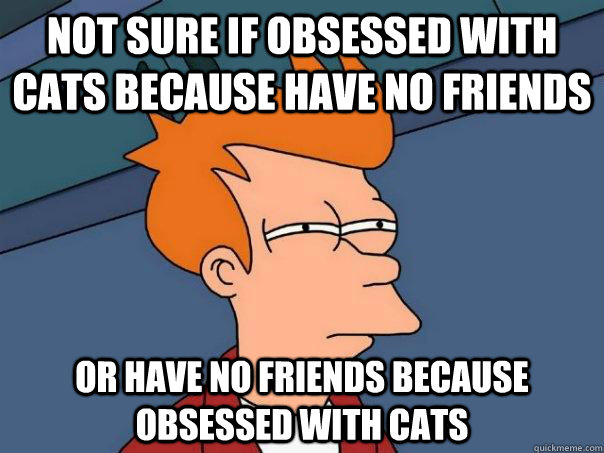 Not sure If obsessed with cats because have no friends  Or have no friends because obsessed with cats  Futurama Fry