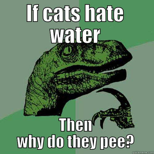IF CATS HATE WATER THEN WHY DO THEY PEE? Philosoraptor