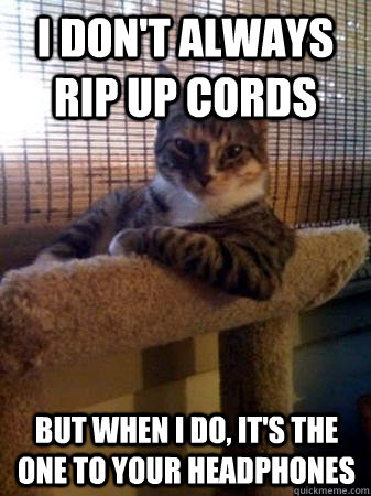 I don't always rip up cords but when I do, it's the one to your headphones  The Most Interesting Cat in the World