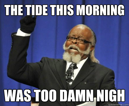 The tide this morning was too damn nigh  Too Damn High