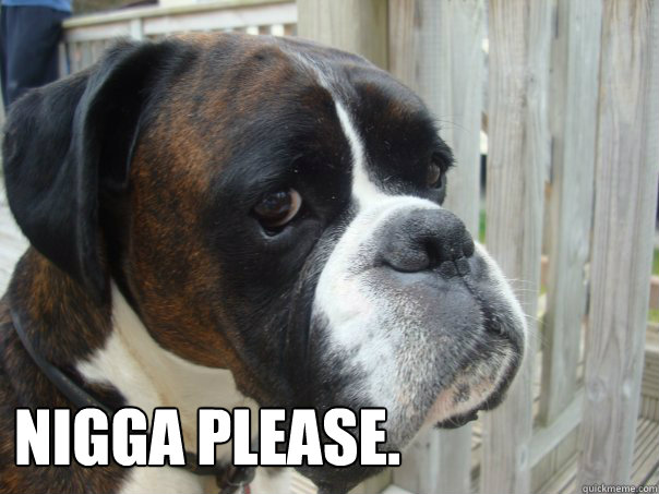 NIGGA PLEASE. - NIGGA PLEASE.  Boxer Dog G