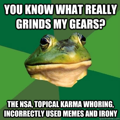 You know what really grinds my gears? the nsa, topical karma whoring, incorrectly used memes and irony  Foul Bachelor Frog