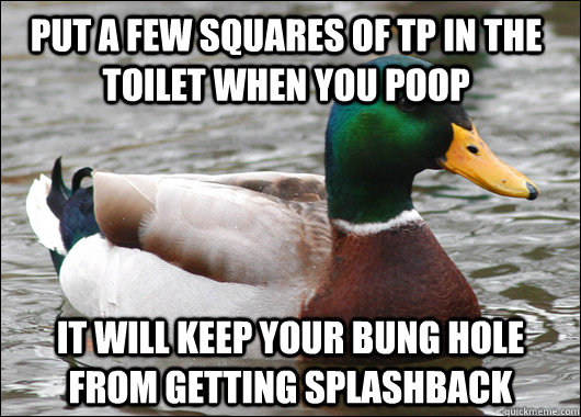 put a few squares of tp in the toilet when you poop it will keep your bung hole from getting splashback - put a few squares of tp in the toilet when you poop it will keep your bung hole from getting splashback  Actual Advice Mallard