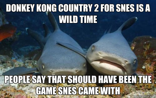 donkey kong country 2 for snes is a wild time people say that should have been the game snes came with  Compassionate Shark Friend