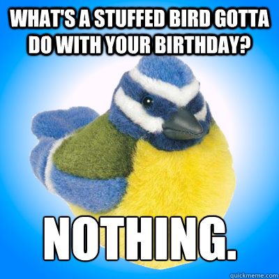 What's a stuffed bird gotta do with your birthday? Nothing.   Top Tip Tit