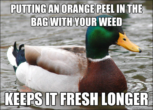 Putting an orange peel in the bag with your weed keeps it fresh longer  Actual Advice Mallard