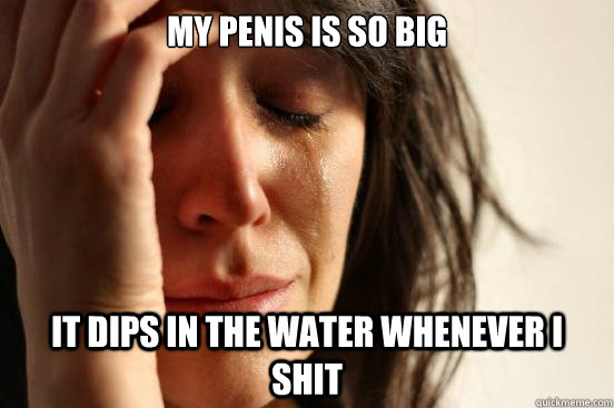 My penis is so big It dips in the water whenever I shit  First World Problems