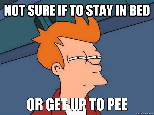 Not sure if to stay in bed Or get up to pee  Futurama Fry