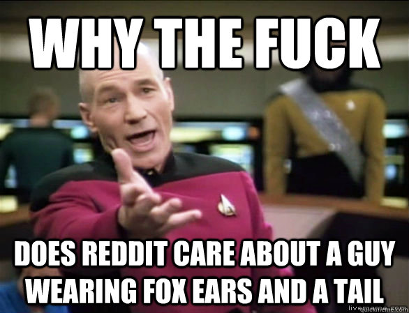 why the fuck does reddit care about a guy wearing fox ears and a tail  Annoyed Picard HD