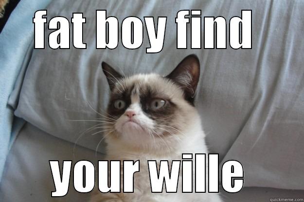 FAT BOY FIND  YOUR WILLE Grumpy Cat