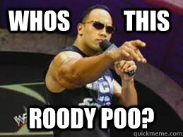 WHOS            THIS ROODY POO? - WHOS            THIS ROODY POO?  Curious Rock