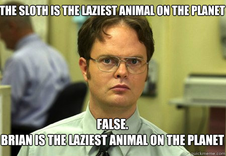 the sloth is the laziest animal on the planet False.
Brian is the laziest animal on the planet  Schrute