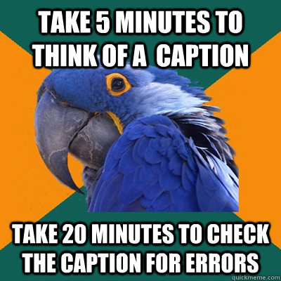 Take 5 minutes to think of a  caption Take 20 minutes to check the caption for errors  Paranoid Parrot