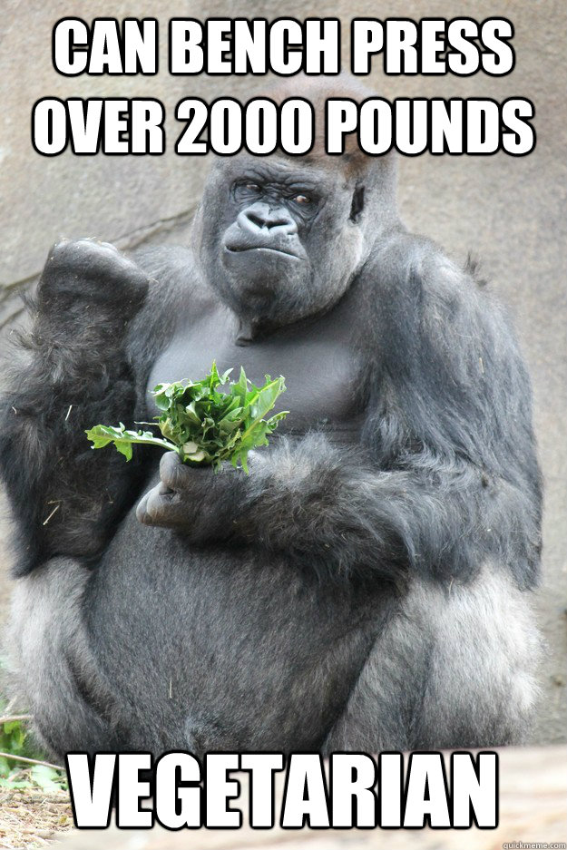 CAN BENCH PRESS OVER 2000 POUNDS VEGETARIAN  Success Gorilla