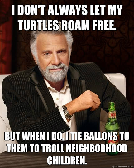 I don't always let my turtles roam free. But when I do, I tie ballons to them to troll neighborhood children.  The Most Interesting Man In The World