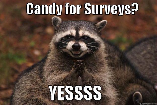           CANDY FOR SURVEYS?                        YESSSS                 Evil Plotting Raccoon