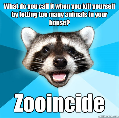 What do you call it when you kill yourself by letting too many animals in your house? Zooincide  Lame Pun Coon