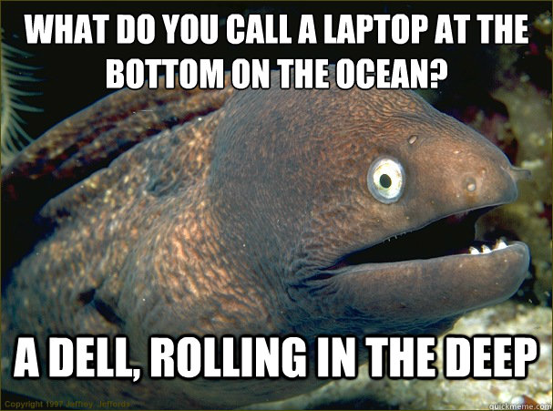 what do you call a laptop at the bottom on the ocean? A dell, rolling in the deep - what do you call a laptop at the bottom on the ocean? A dell, rolling in the deep  Bad Joke Eel