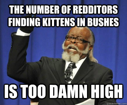 the number of redditors finding kittens in bushes is too damn high  Too Damn High