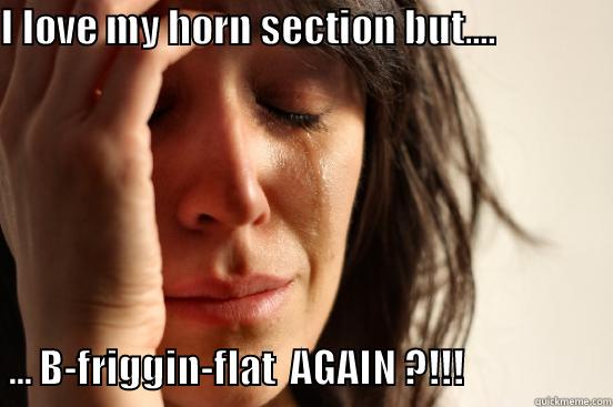 I LOVE MY HORN SECTION BUT....                                                                                                                                ... B-FRIGGIN-FLAT  AGAIN ?!!!                   First World Problems