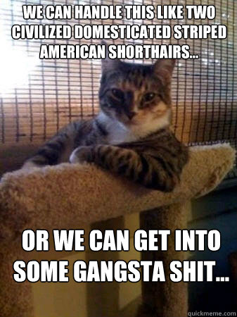 We can handle this like two civilized domesticated striped American Shorthairs... Or we can get into some gangsta shit...  The Most Interesting Cat in the World