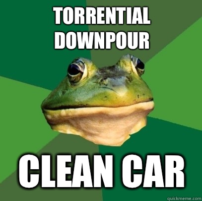 Torrential Downpour Clean Car  Foul Bachelor Frog