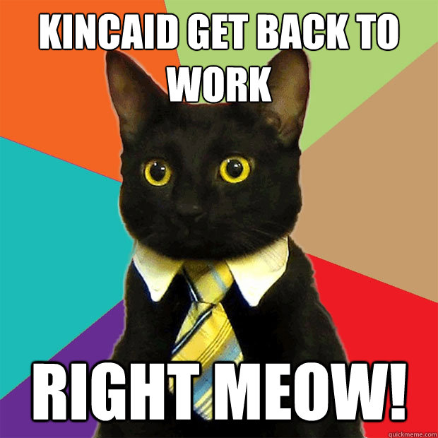 kincaid get back to work RIGHT MEOW!  Business Cat