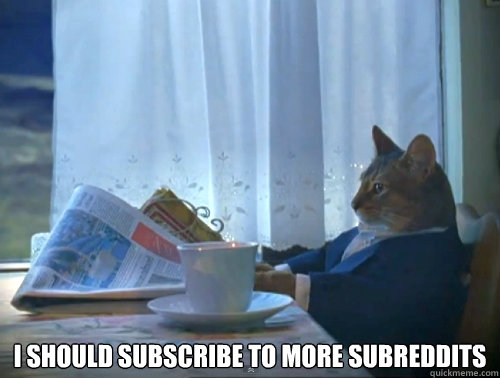  I SHOULD SUBSCRIBE TO MORE SUBREDDITS  The One Percent Cat