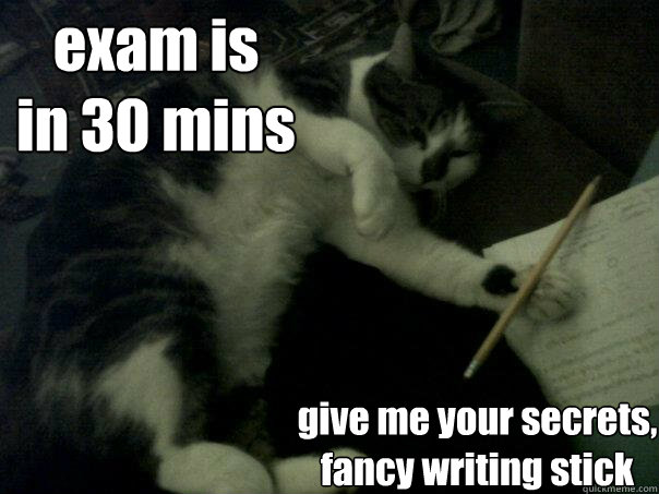 exam is 
in 30 mins give me your secrets, fancy writing stick  Revision Kitty