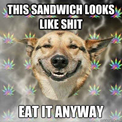 This sandwich looks like shit eat it anyway  Stoner Dog