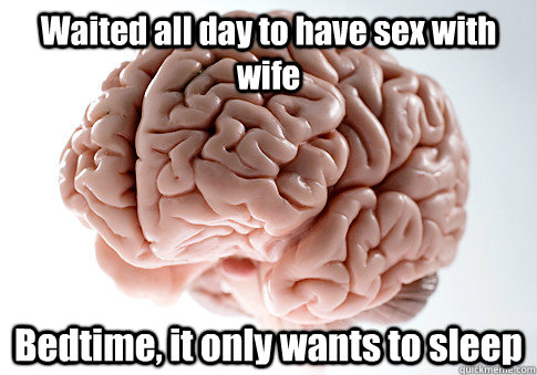 Waited all day to have sex with wife Bedtime, it only wants to sleep  Scumbag Brain