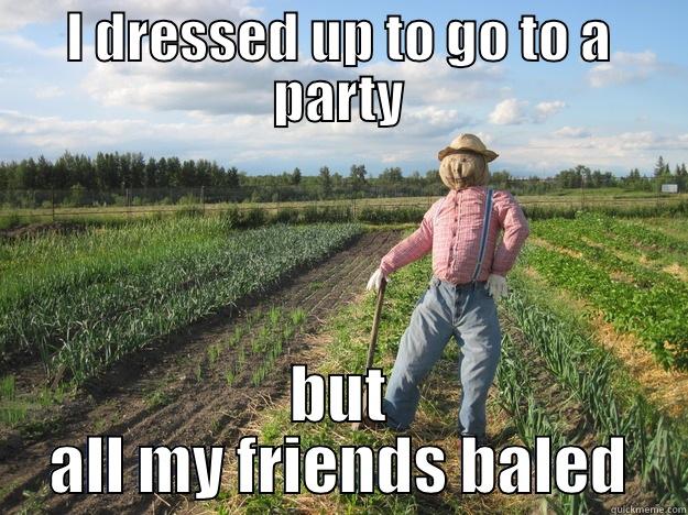 I DRESSED UP TO GO TO A PARTY BUT ALL MY FRIENDS BALED Scarecrow
