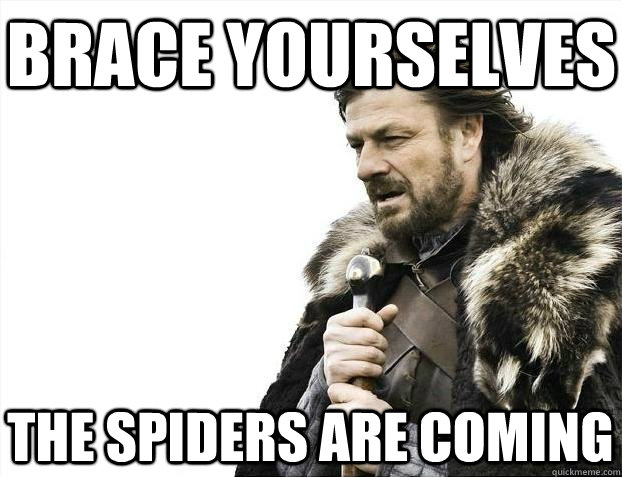 Brace yourselves The spiders are coming  BRACEYOSELVES