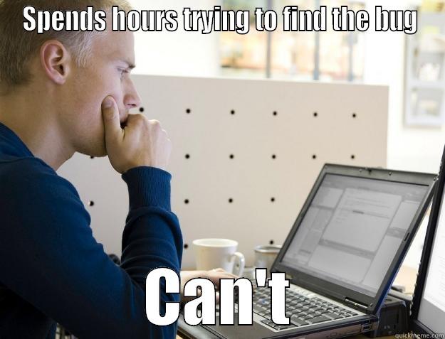 programmer problems - SPENDS HOURS TRYING TO FIND THE BUG CAN'T Programmer