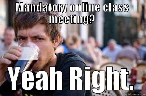 MANDATORY ONLINE CLASS MEETING? YEAH RIGHT. Lazy College Senior