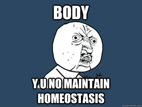 BODY y u no maintain homeostasis  Y U No