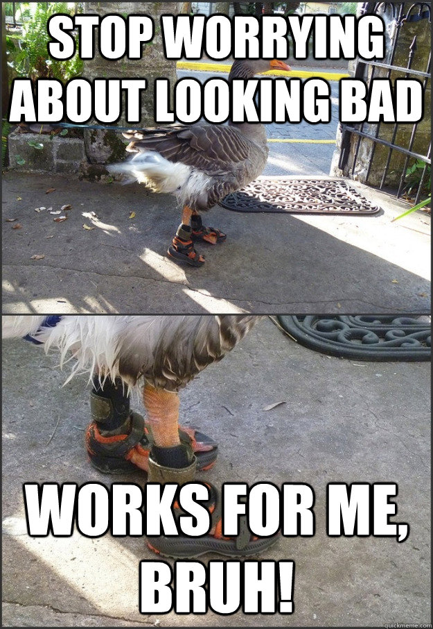 Stop worrying about looking bad works for me, bruh!  Self-projection Advice Goose