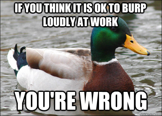 if you think it is ok to burp loudly at work you're wrong   Actual Advice Mallard