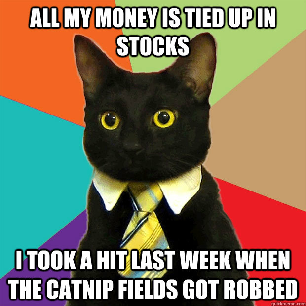 All my money is tied up in stocks I took a hit last week when the catnip fields got robbed  Business Cat