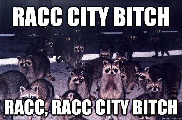 Racc City bitch Racc, Racc city bitch  Rack City Raccoons