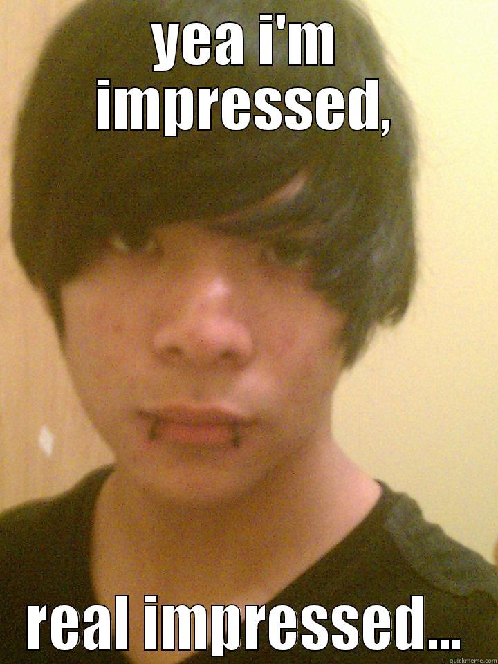 YEA I'M IMPRESSED, REAL IMPRESSED... Misc