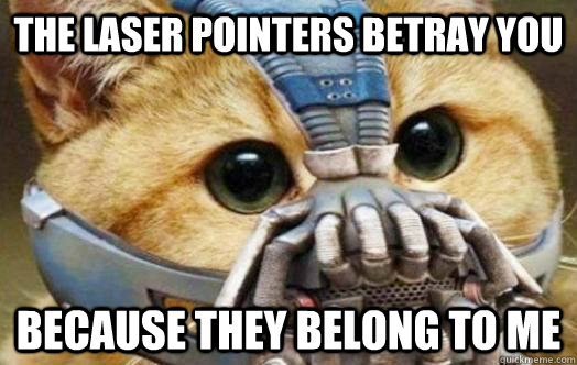 the laser pointers betray you BECAuse they belong to me - the laser pointers betray you BECAuse they belong to me  Bane Kitty