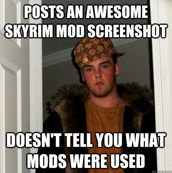 Posts an awesome Skyrim mod screenshot Doesn't tell you what mods were used - Posts an awesome Skyrim mod screenshot Doesn't tell you what mods were used  Scumbag Steve