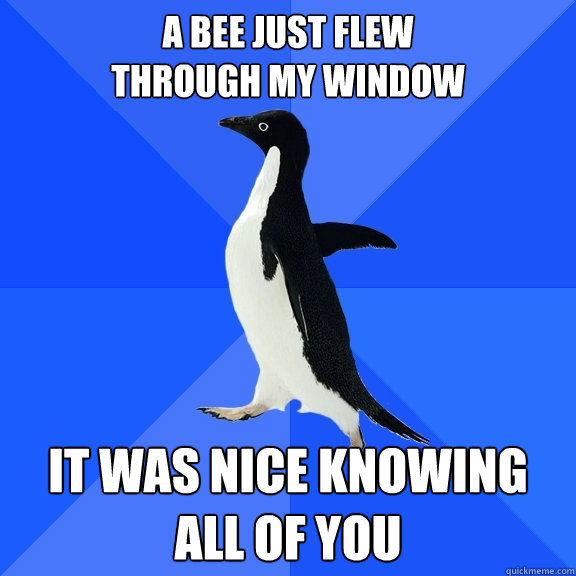 A bee just flew 
through my window It was nice knowing all of you  Socially Awkward Penguin