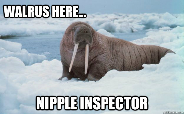 Walrus here... Nipple inspector  Walter Walrus