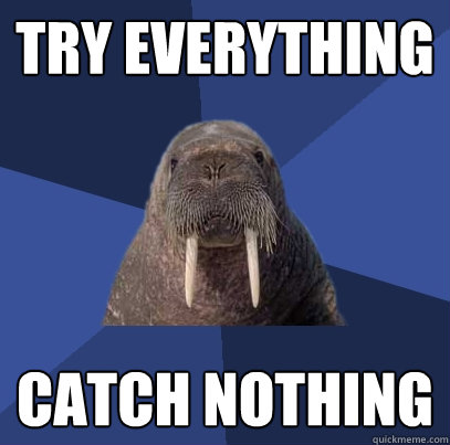 try everything catch nothing - try everything catch nothing  Web Developer Walrus